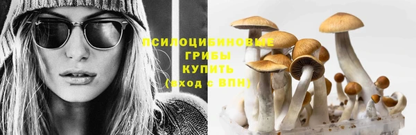 трава Волосово