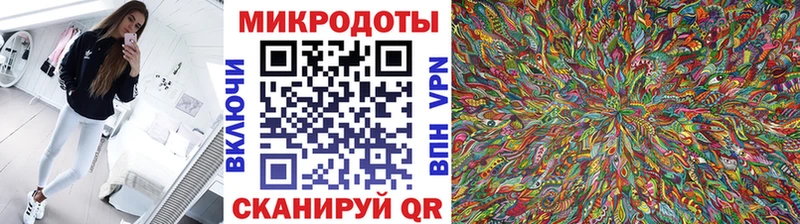 блэк спрут онион  Липки  Псилоцибиновые грибы GOLDEN TEACHER  купить наркотики сайты 