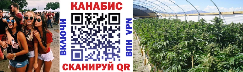 Бошки Шишки гибрид  где купить наркотик  Липки 